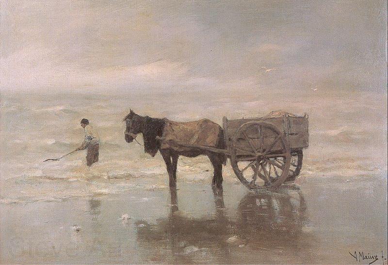 Mauve, Anton Gathering Seaweed